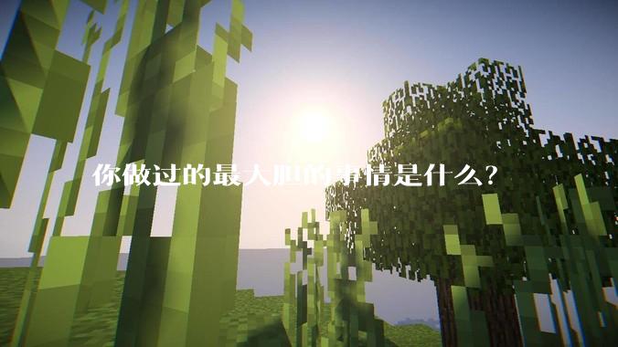 你做过的最大胆的事情是什么？