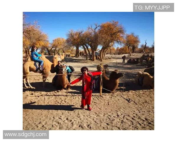 姚明与弦子携手共创篮球新篇章的传奇故事与梦想追逐之旅