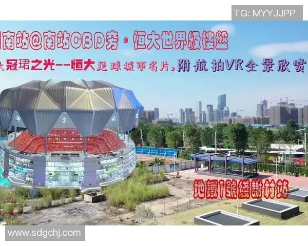 浙江本土足球明星全景盘点与发展历程深度解析