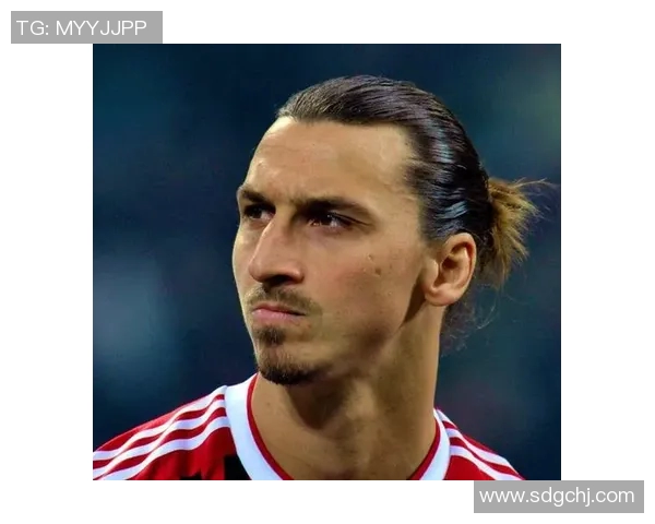 卡伊布足球明星的传奇之路与辉煌成就探秘